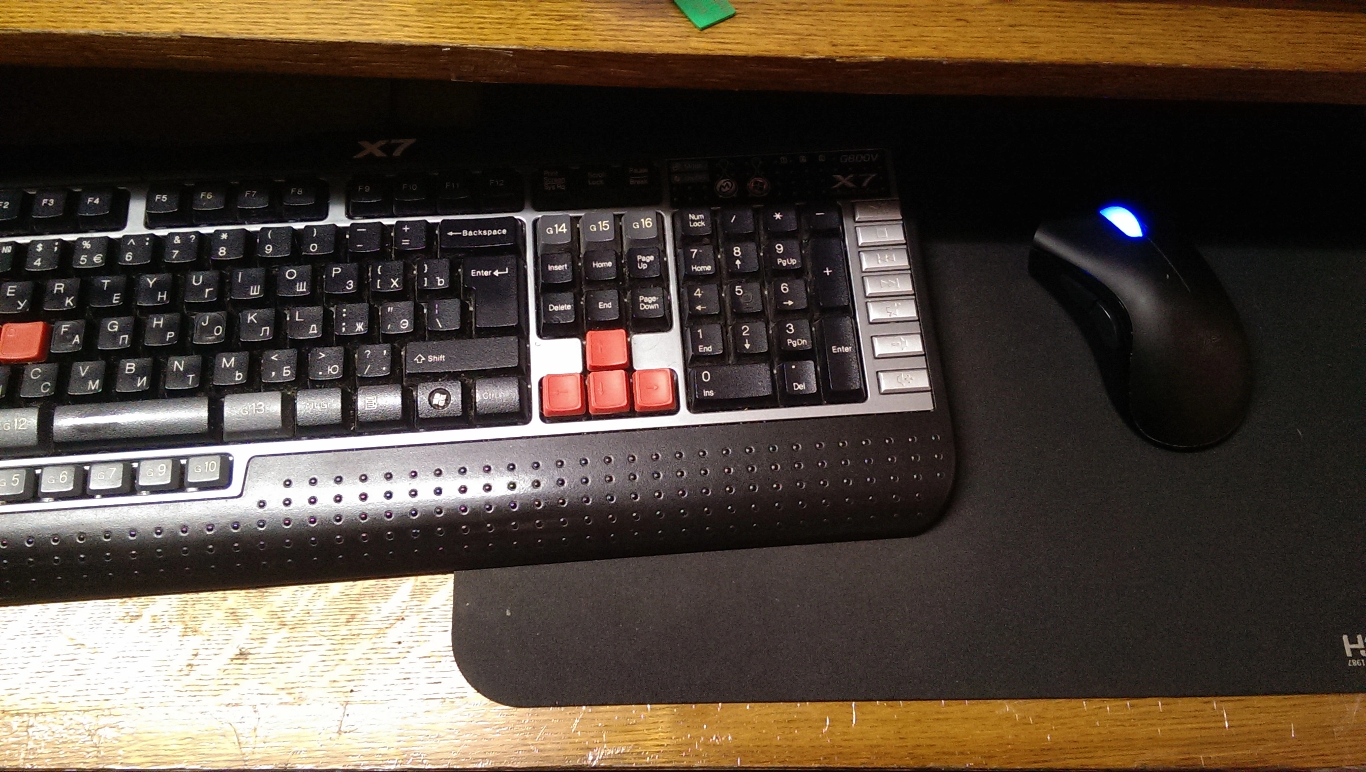 IMAG1608[1].webp