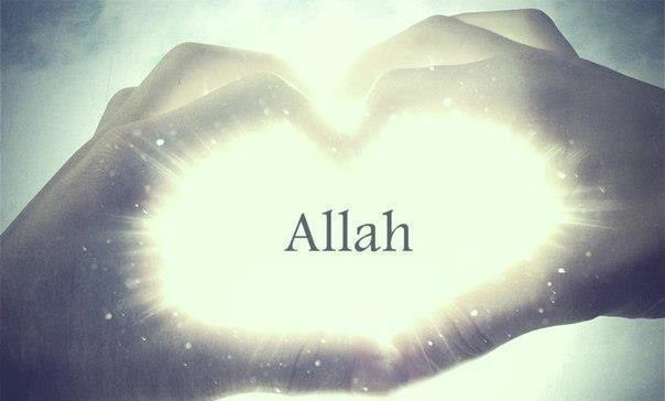 image.webp