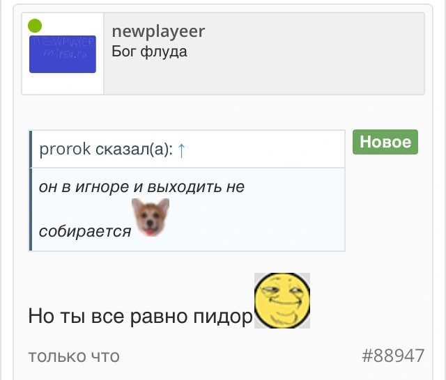 image.webp