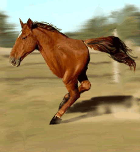 image_86270716221534817785.gif