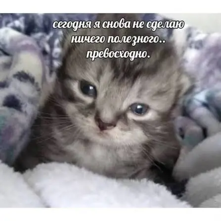 images (1).webp
