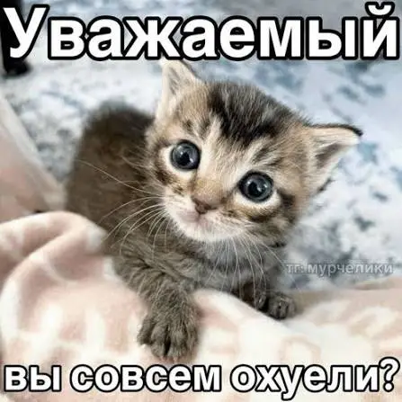 images (2).webp