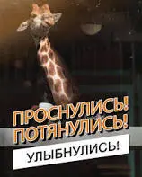 images (2).webp