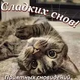 images (3).webp