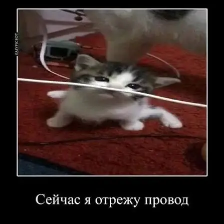 images (4).webp