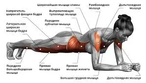 images (4).webp