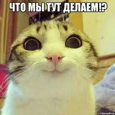 images (6).webp