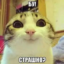 images (6).webp