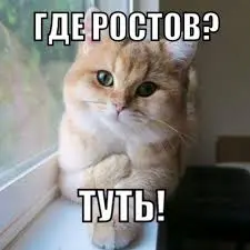 images.webp