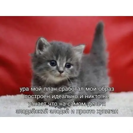 images.webp