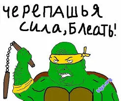 images.webp