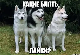 images.webp
