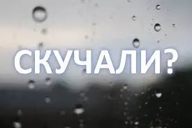 images12.webp