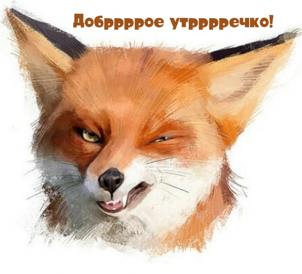 imagetext_ru_25310.webp