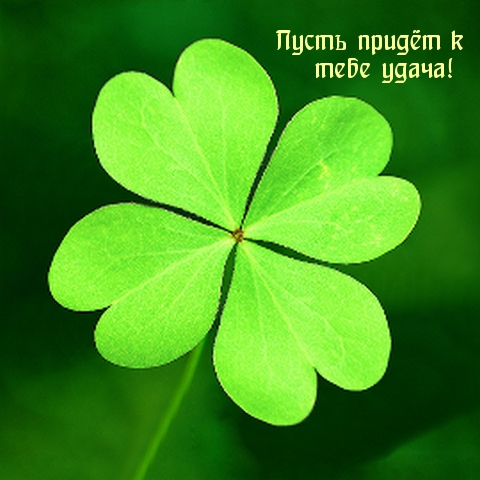 imagetext_ru_38937.webp