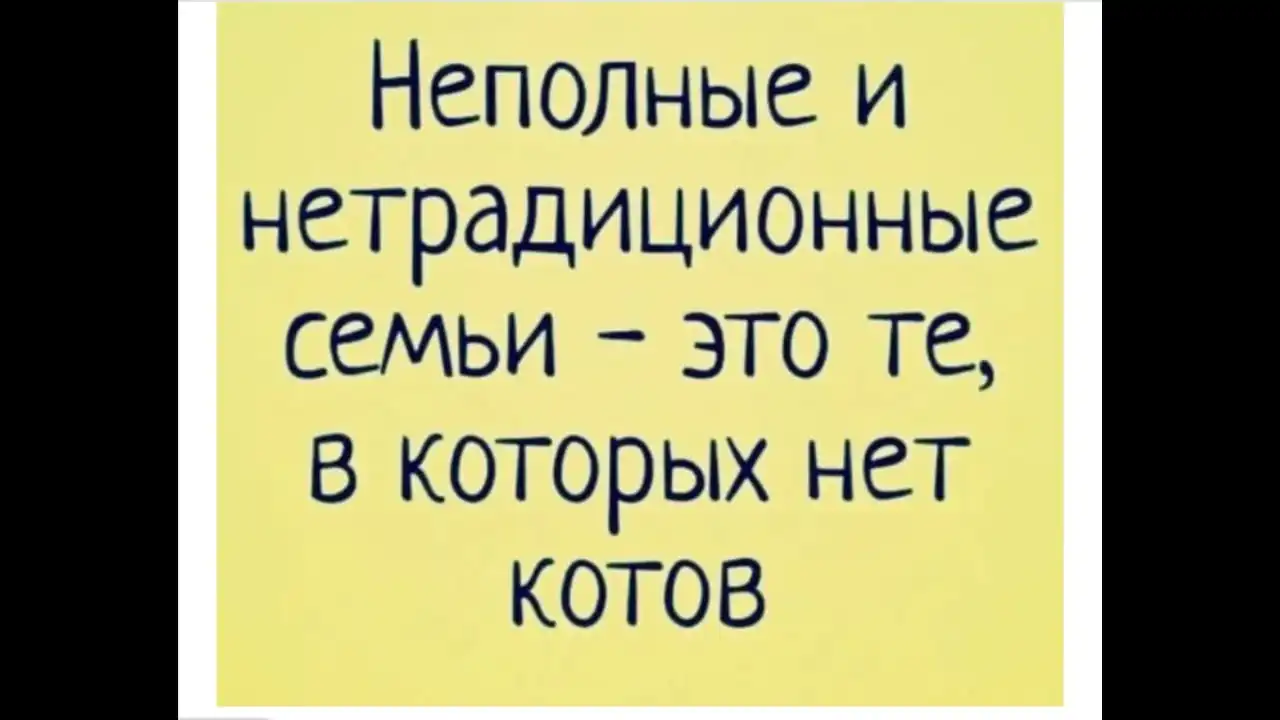 IMG-20230219-WA0000.webp