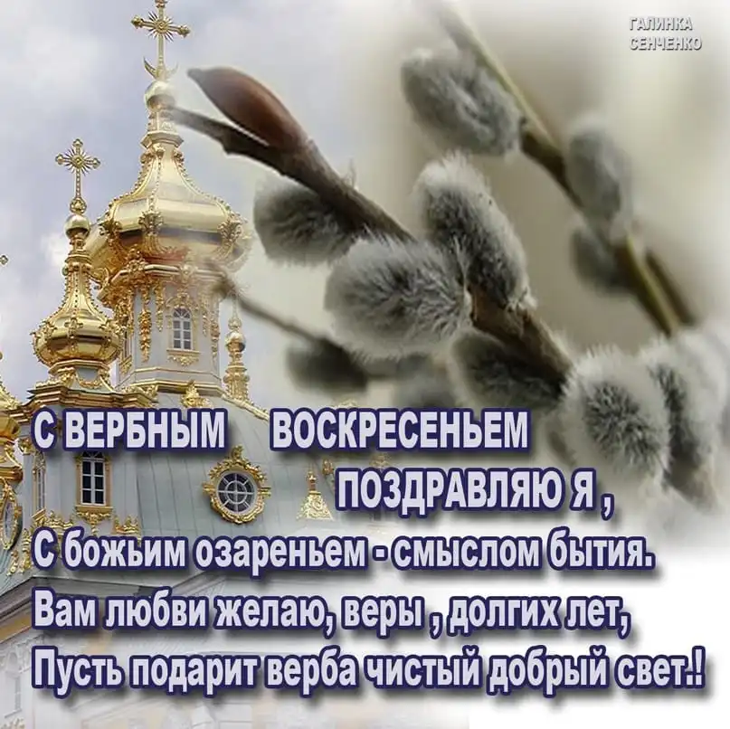 IMG-20240428-WA0003.webp