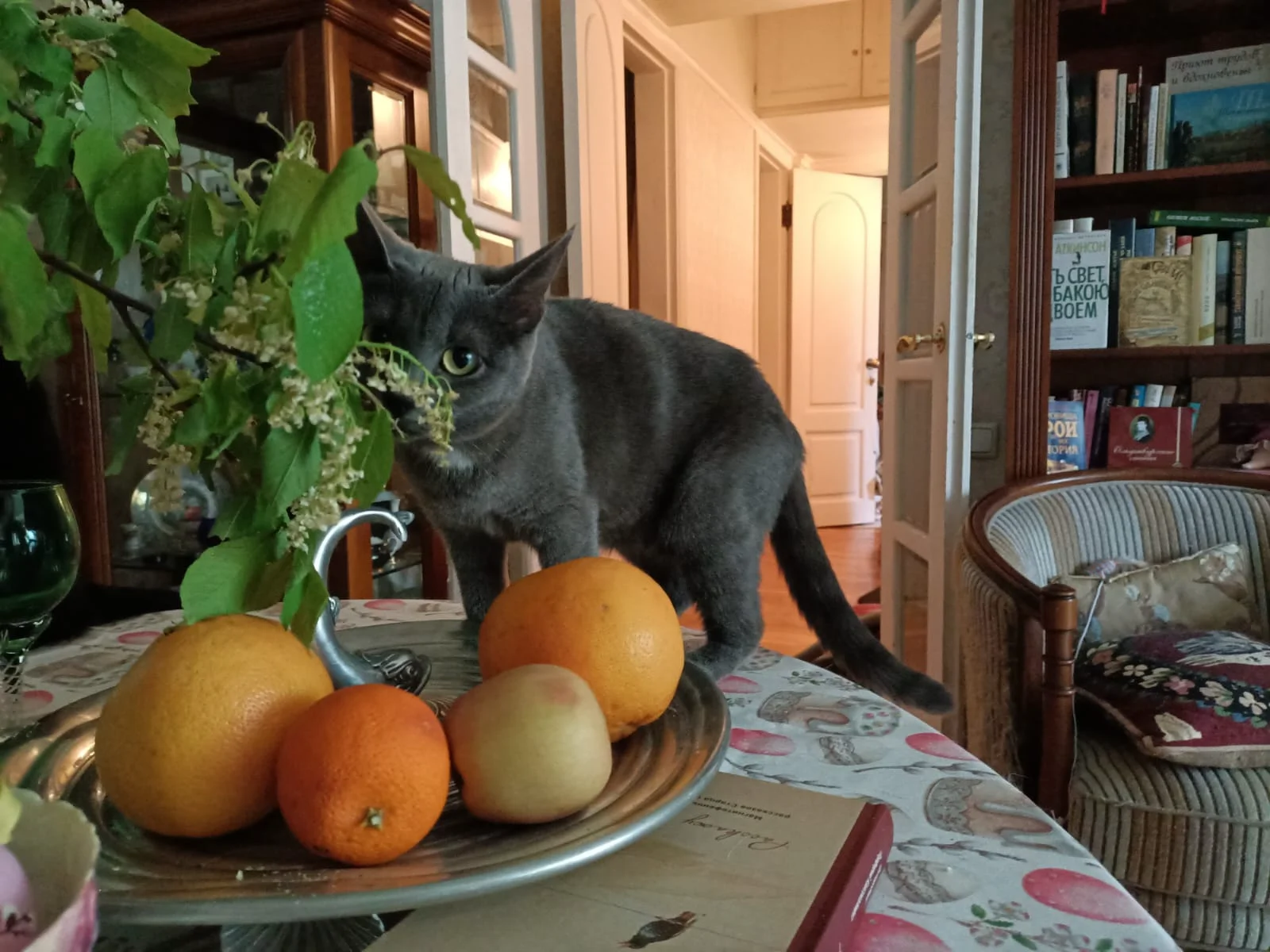 IMG-20250508-WA0007.webp
