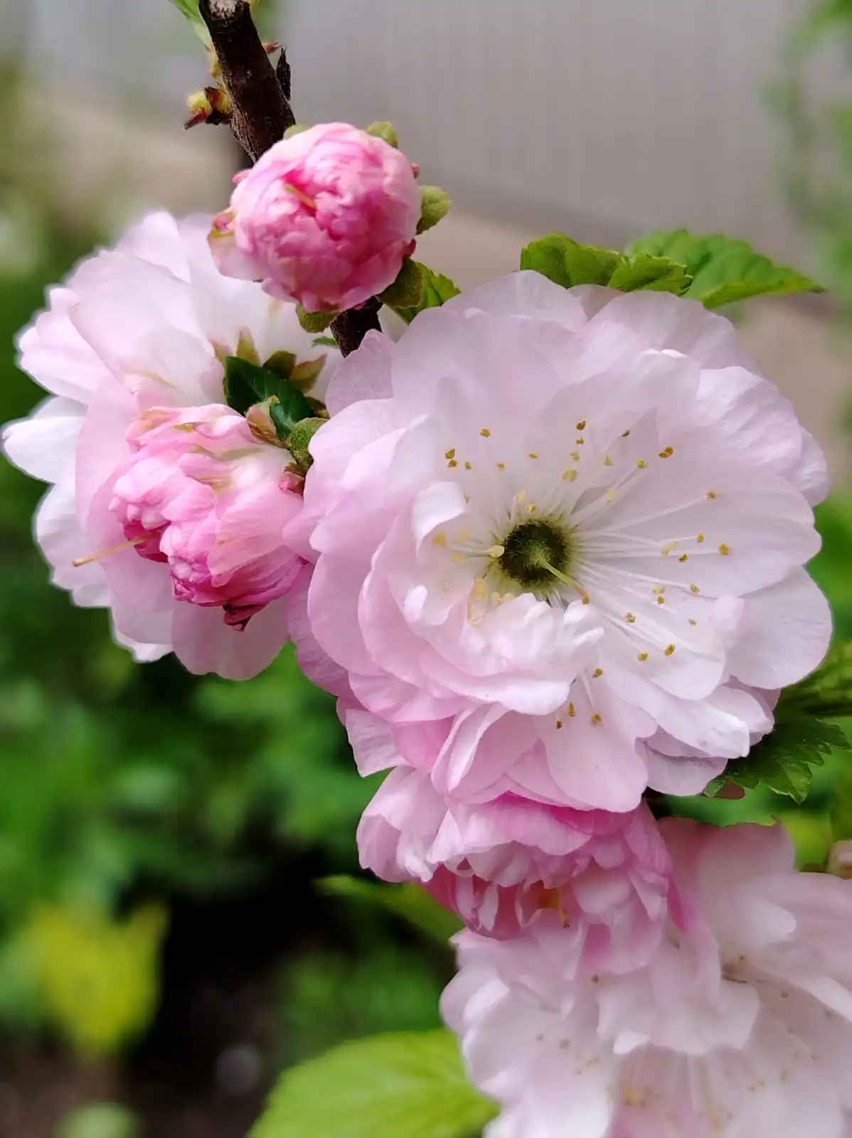 IMG-20250511-WA0006.webp