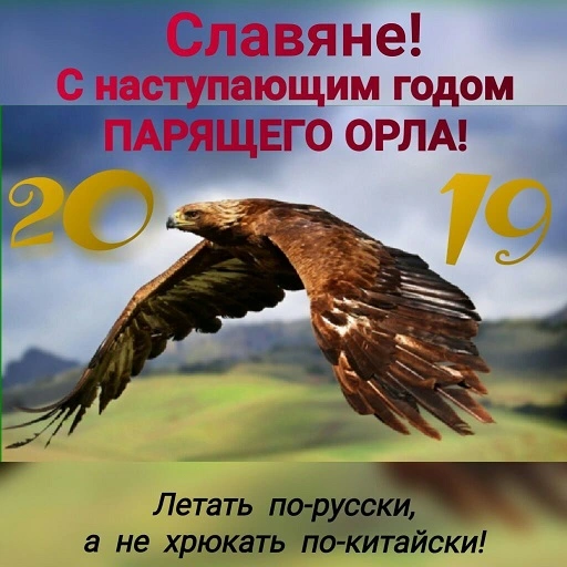 IMG1.webp