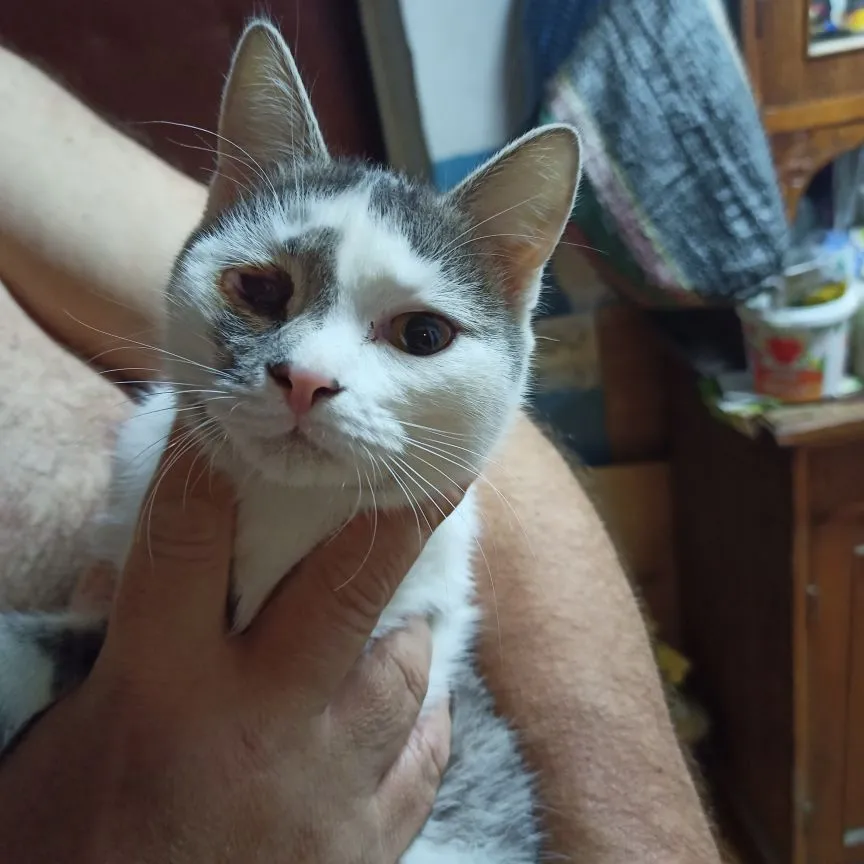 IMG20211213192810.webp