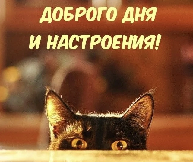IMG_0091.webp