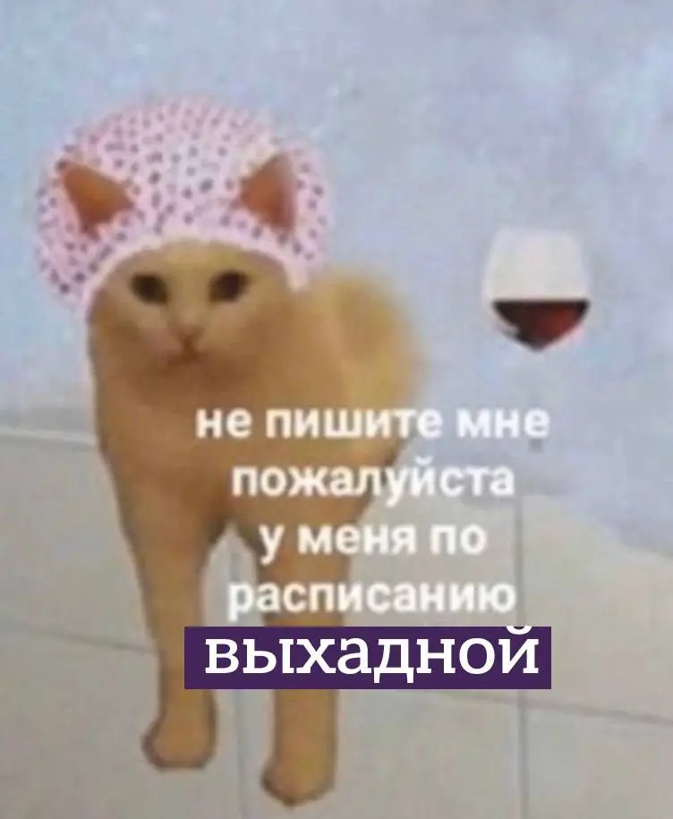 IMG_1460.webp