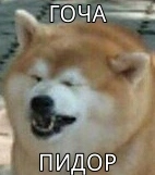 IMG_20170128_191805.webp