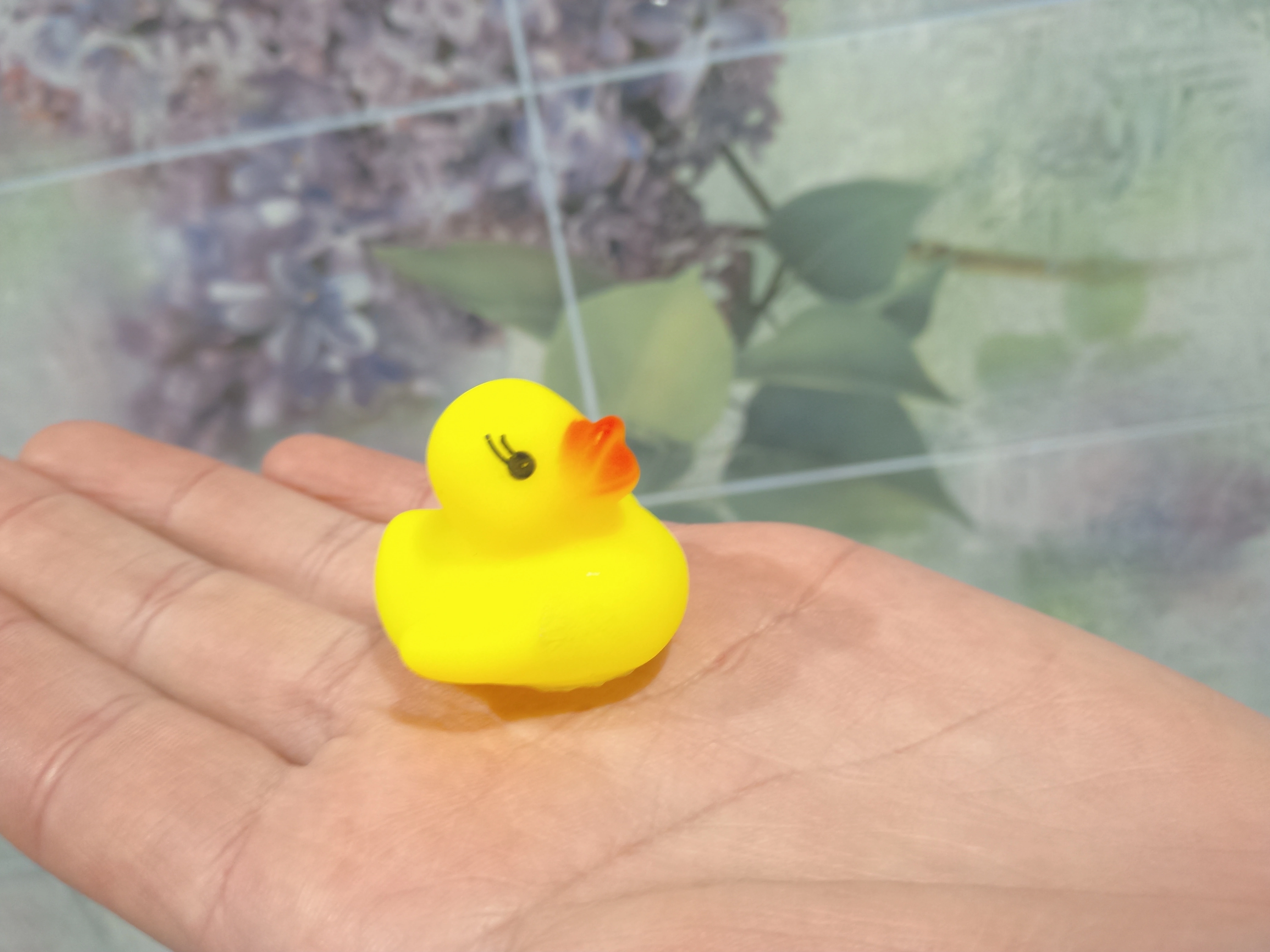 IMG_20180324_173936_461.webp