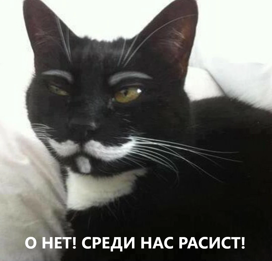 IMG_20191220_000652.webp