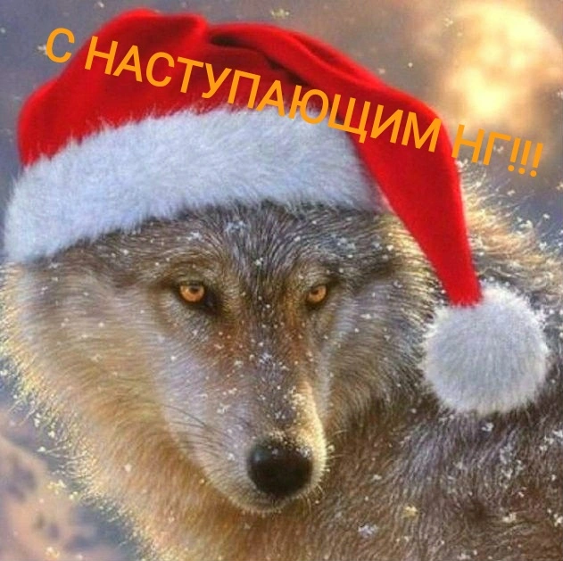 IMG_20191231_170147.webp