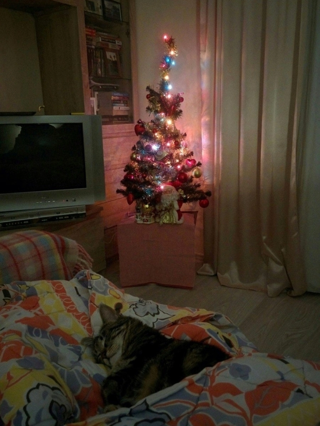 IMG_20201118_224316.webp