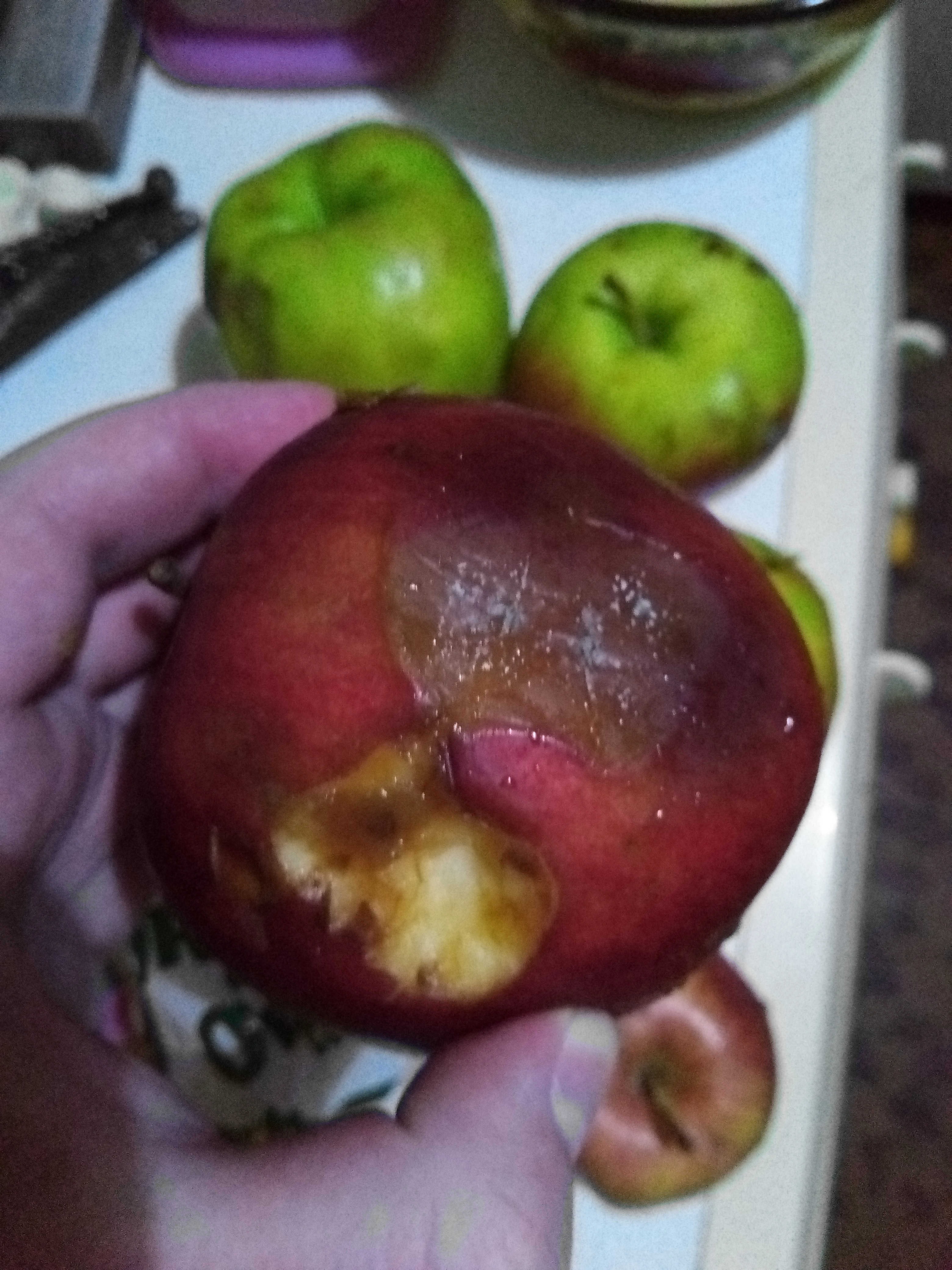 IMG_20201209_182126_0.webp