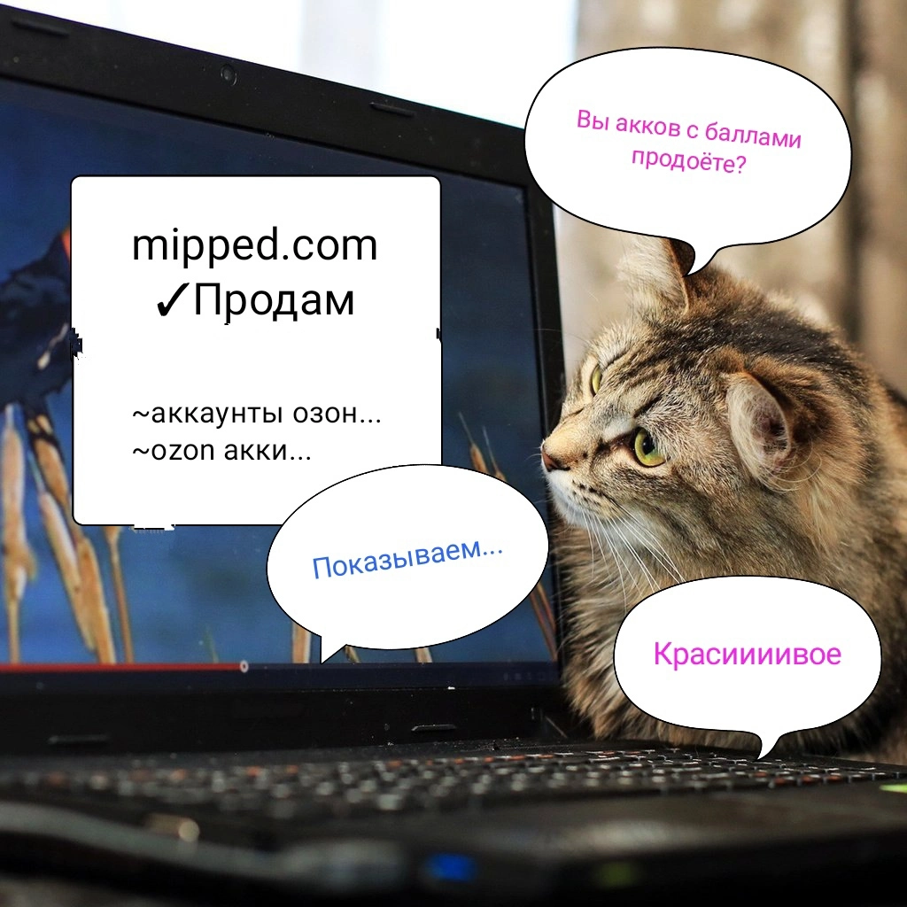 IMG_20210824_004611.webp