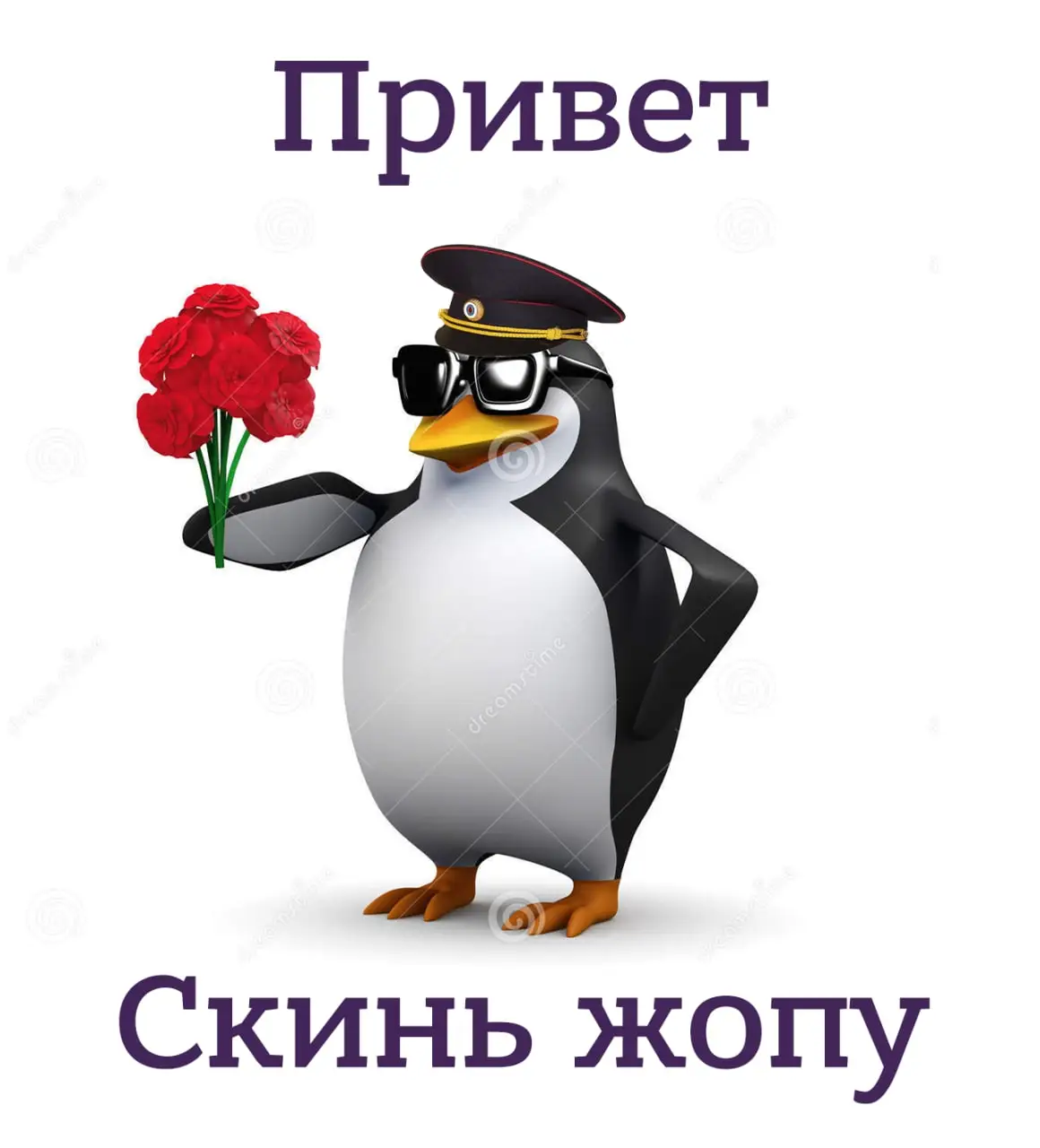 IMG_20211018_162052_541.webp