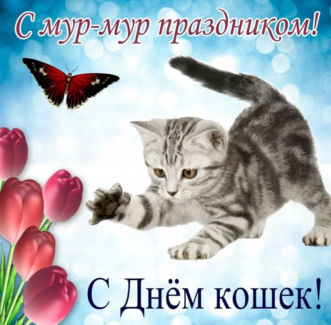 IMG_20220808_074502.webp
