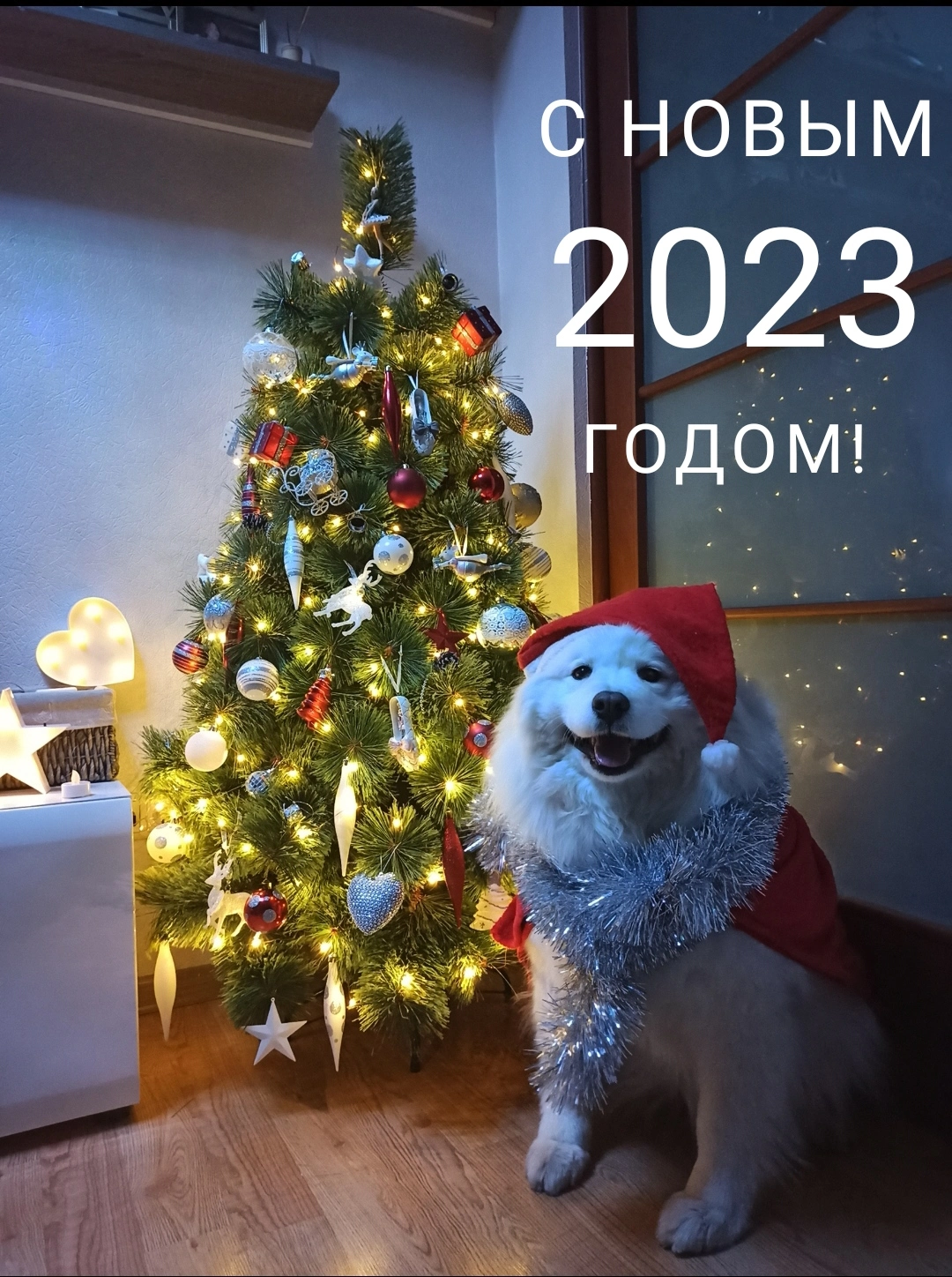 IMG_20221231_201739.webp