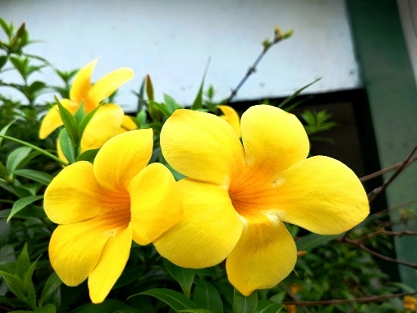 IMG_20230130_152616_345 - копия.webp