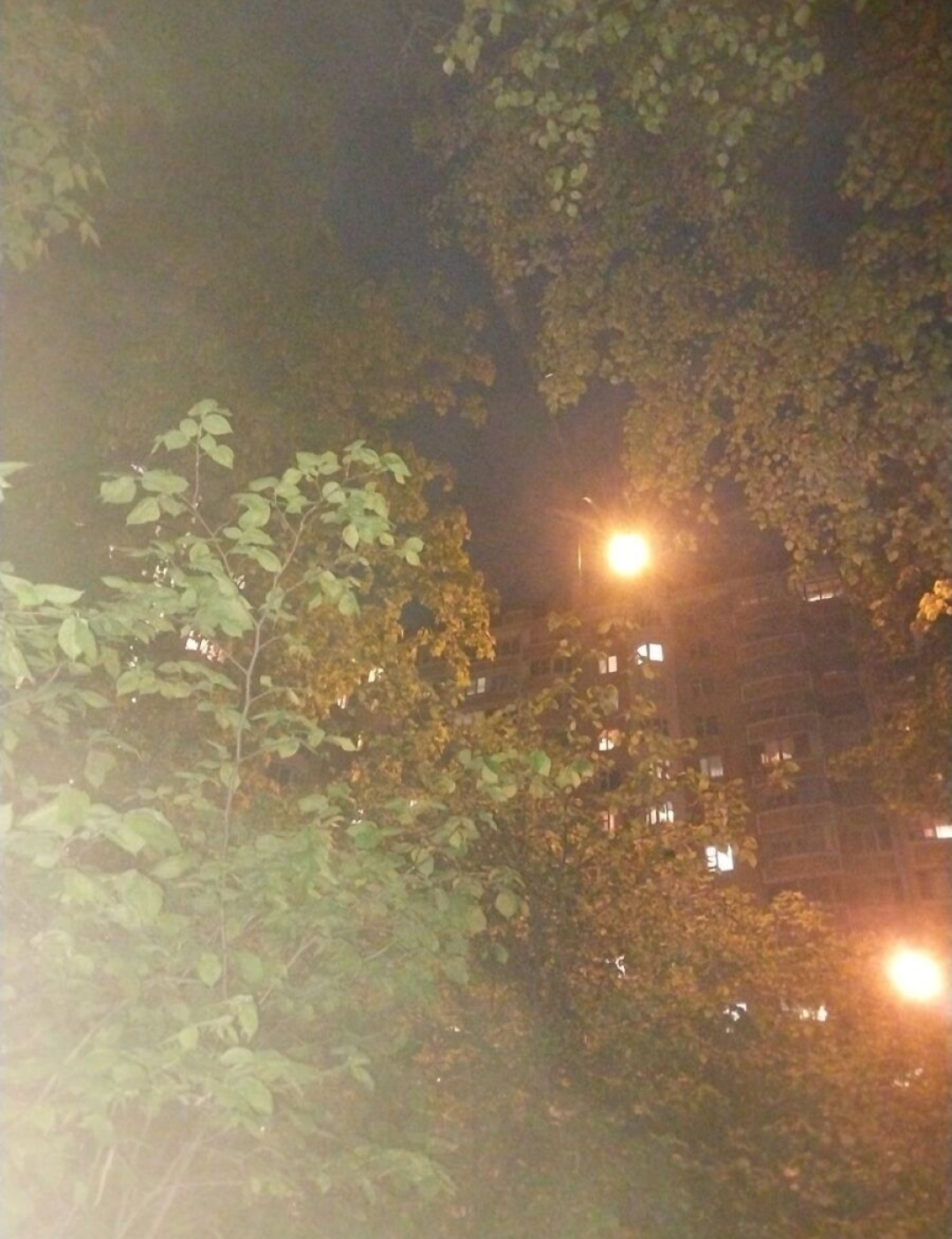 IMG_20230625_160044.webp