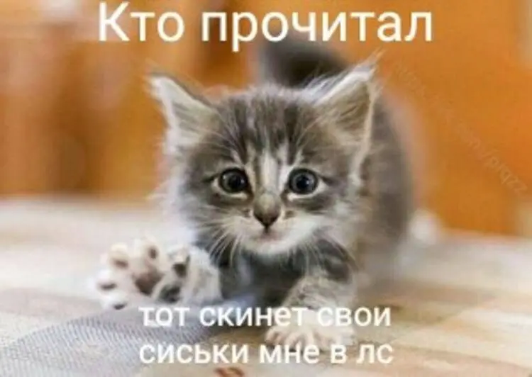 IMG_20231203_043539_892.webp