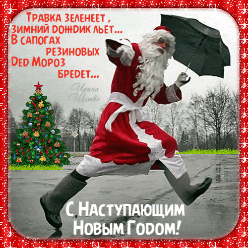 IMG_20231230_212231.gif