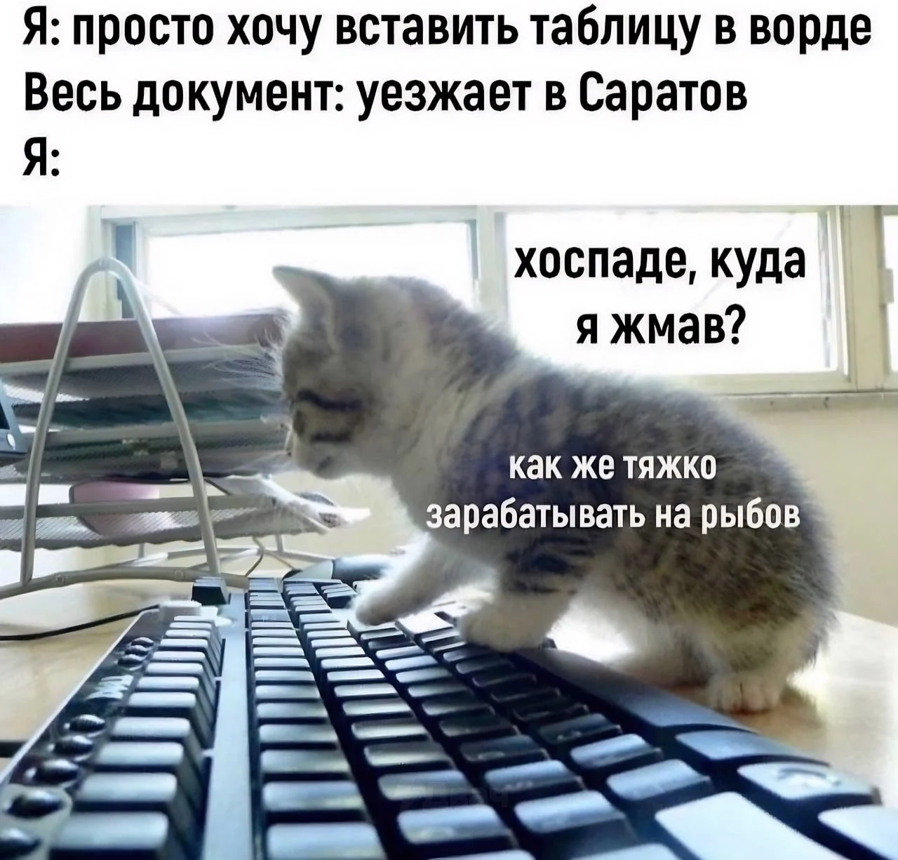 IMG_20240118_055544_571.webp