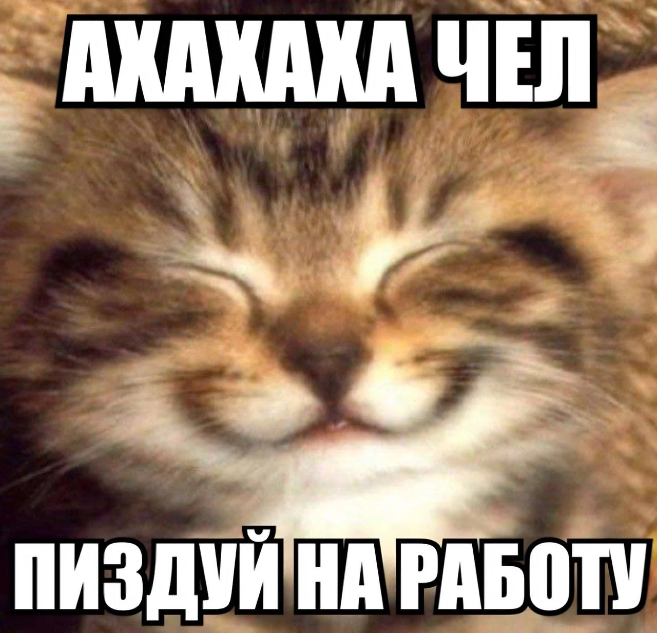 IMG_20240124_045519_135.webp