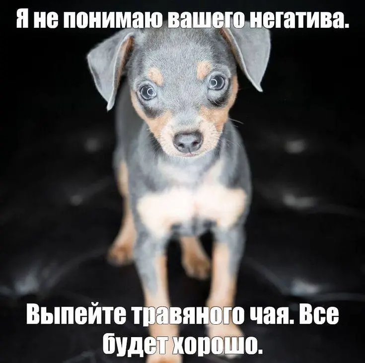 IMG_20240203_075533_470.webp