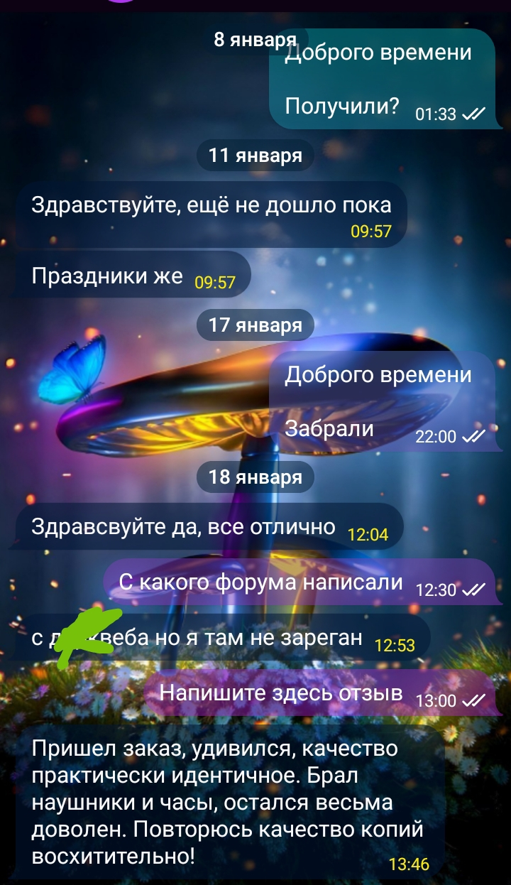 IMG_20240203_144755.webp
