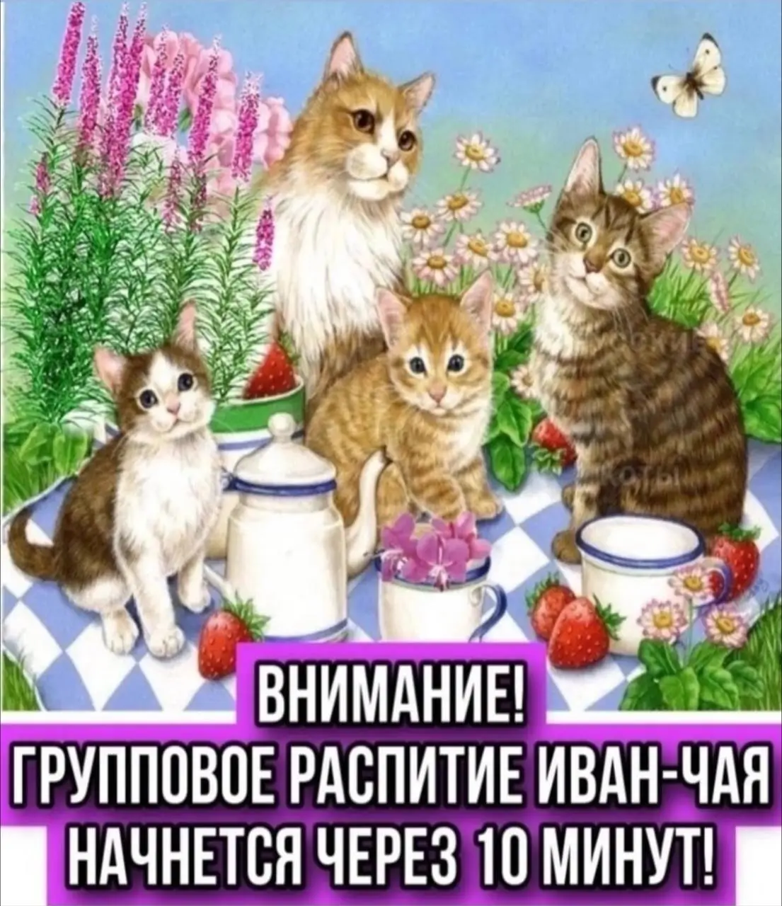 IMG_20240213_031323_760.webp