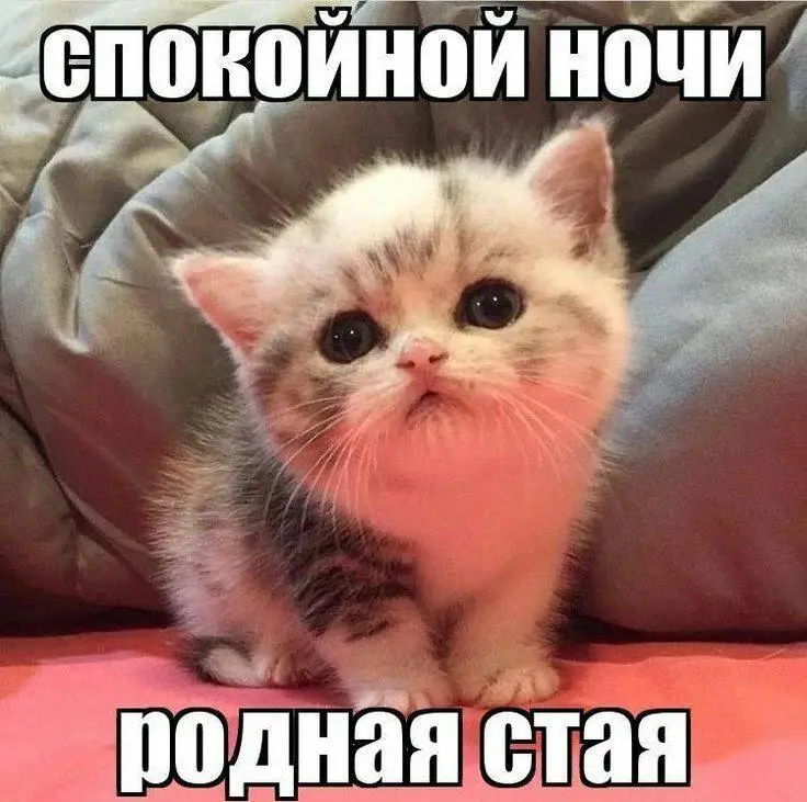 IMG_20240213_163312_416.webp