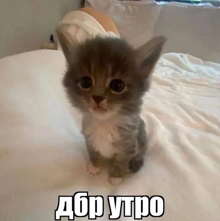 IMG_20240215_140210_882.webp