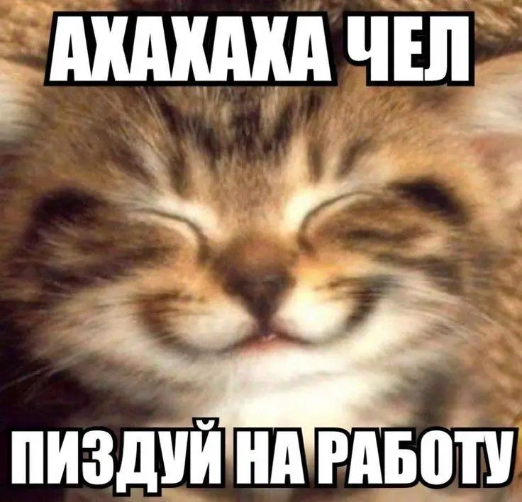 IMG_20240319_124156_728.webp
