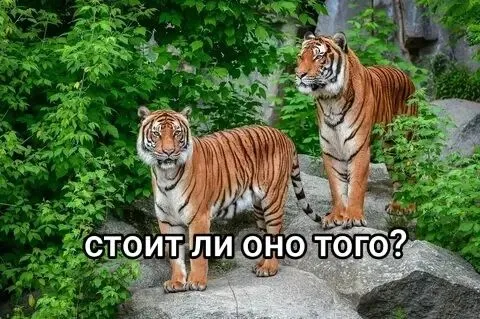 IMG_20240508_024839_619.webp